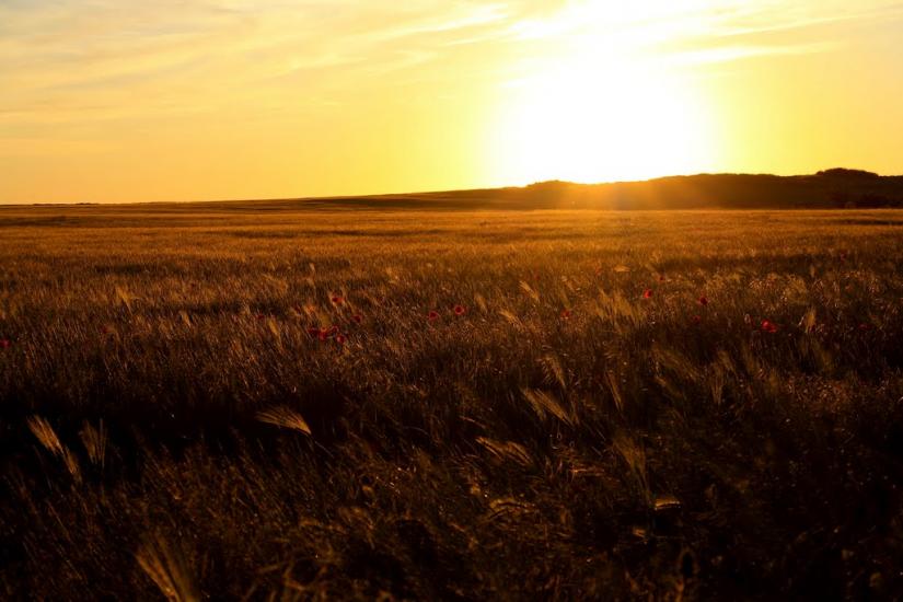 Укромне з panoramio.com - Укромне