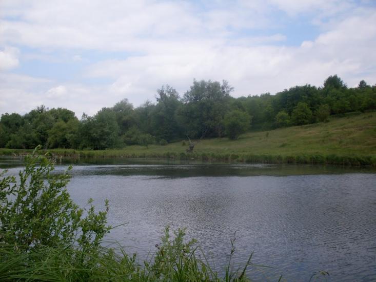 Бубнівка з panoramio.com - Бубновка