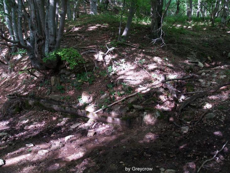 Многоріччя з panoramio.com - Многоречье