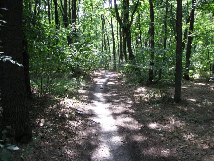 Балаклія з panoramio.com - Балаклея