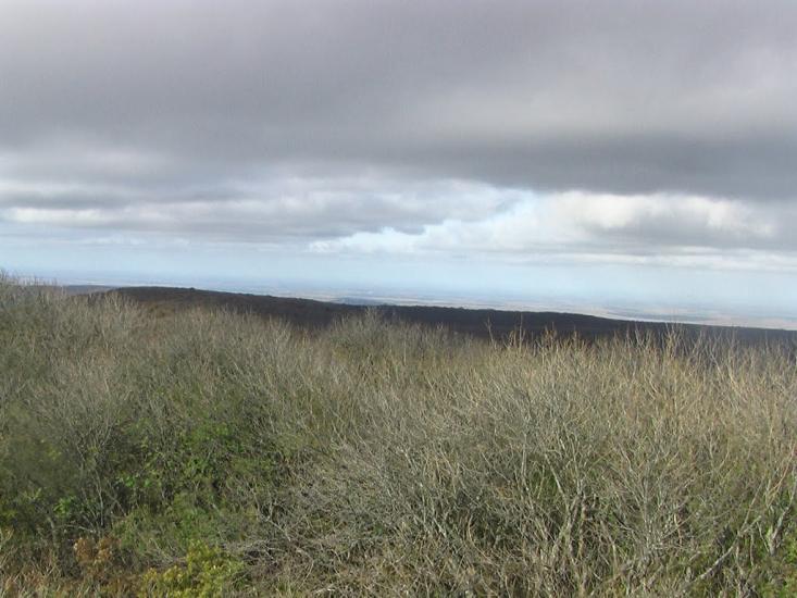 Земляничне з panoramio.com - Земляничне