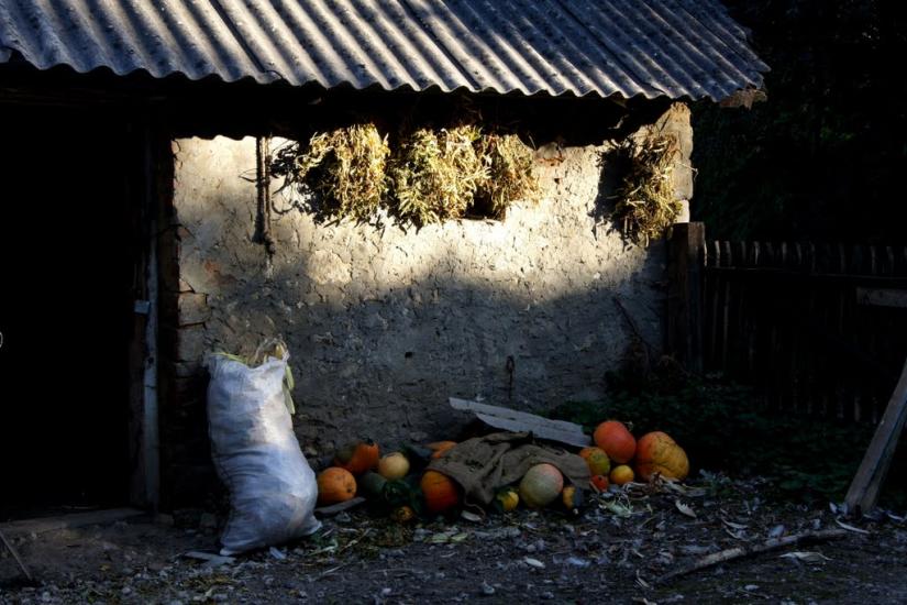 Травневе з panoramio.com - Травневе