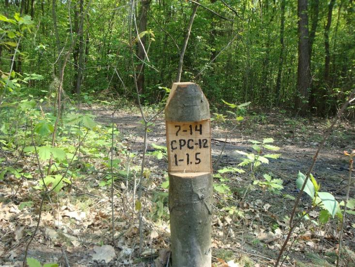 Карпівці з panoramio.com - Карпівці