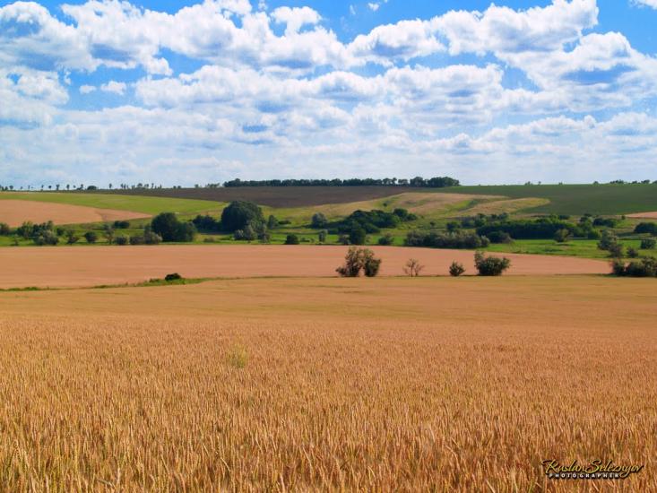 Кам'янка-Дніпровська з panoramio.com - Кам'янка-Дніпровська