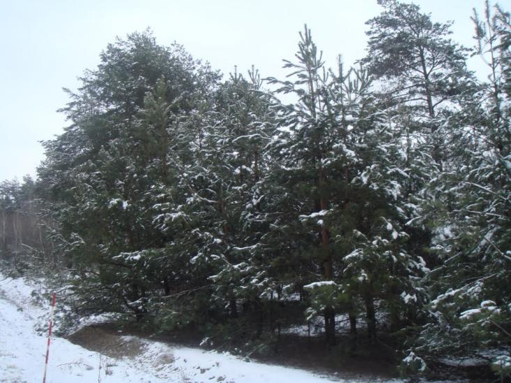 Катюжанка з panoramio.com - Катюжанка