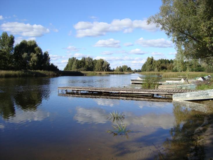 Сорокошичі з panoramio.com - Сорокошичи