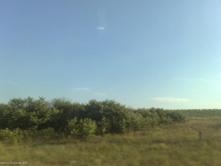 Широке з panoramio.com - Широке