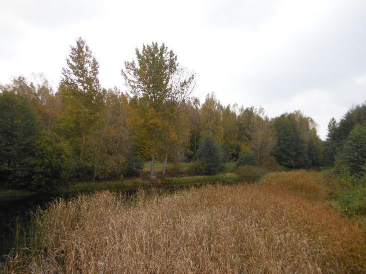 Любомудрівка з panoramio.com - Любомудровка