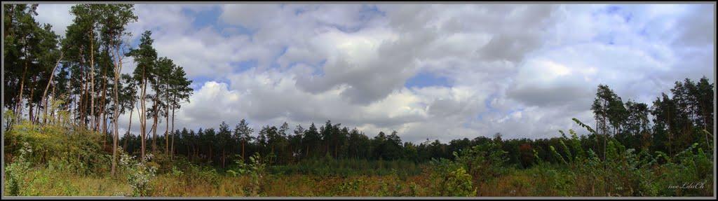 Коженики з panoramio.com - Коженики