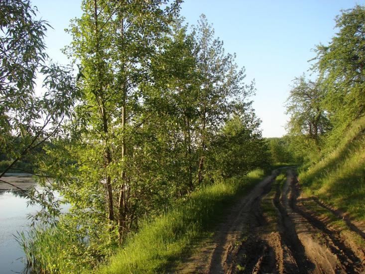 Сад з panoramio.com - Сад