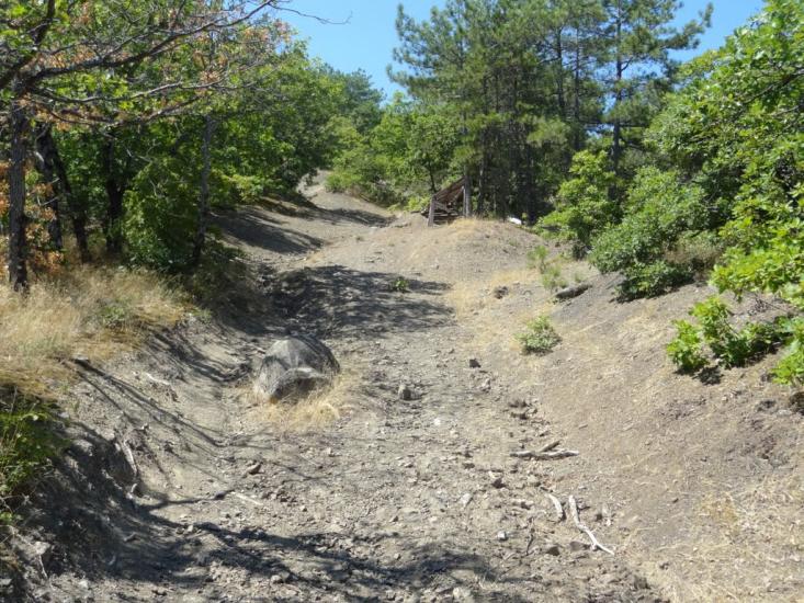 Виноградний з panoramio.com - Vynogradnyy
