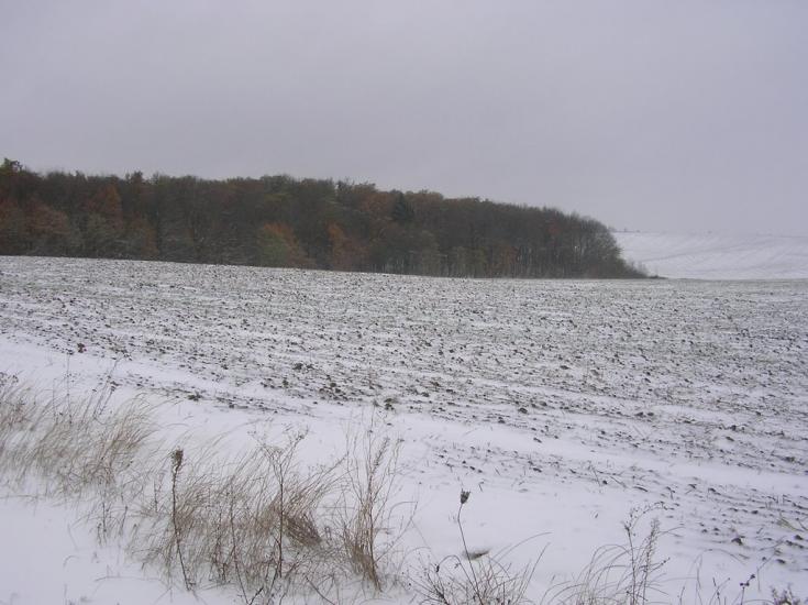 Чижівка з panoramio.com - Чижівка