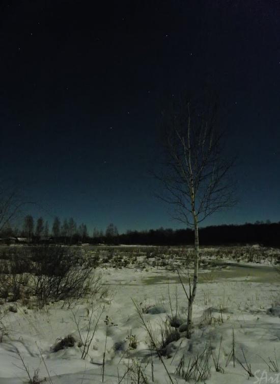 Грибова Рудня з panoramio.com - Грибова Рудня