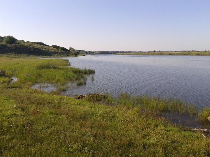 Новотимофіївка з panoramio.com - Новотимофіївка