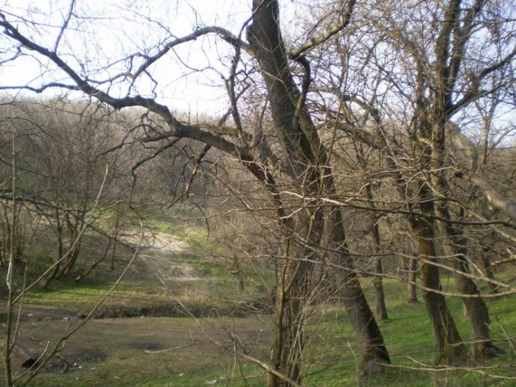 Кринична з panoramio.com - Кринична