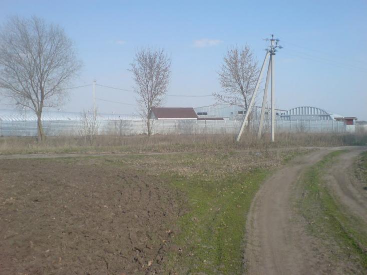 Новосілки з panoramio.com - Новосілки