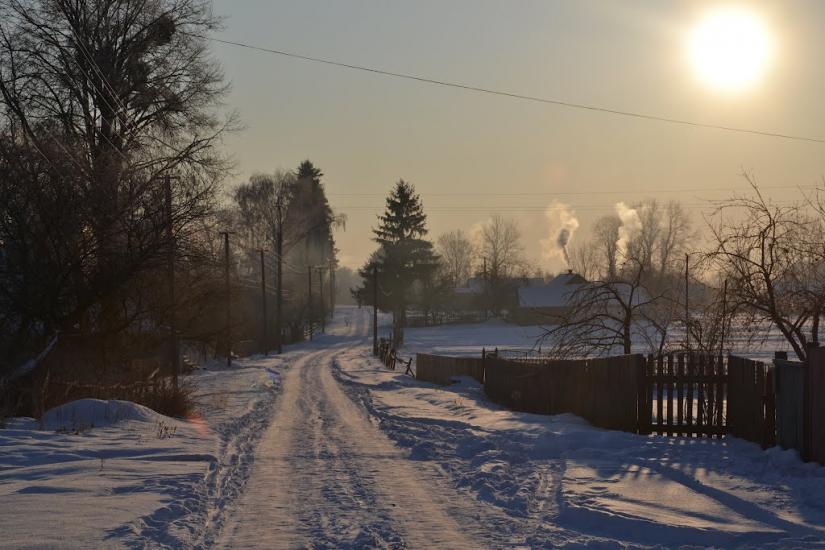 Вільха з panoramio.com - Ольха