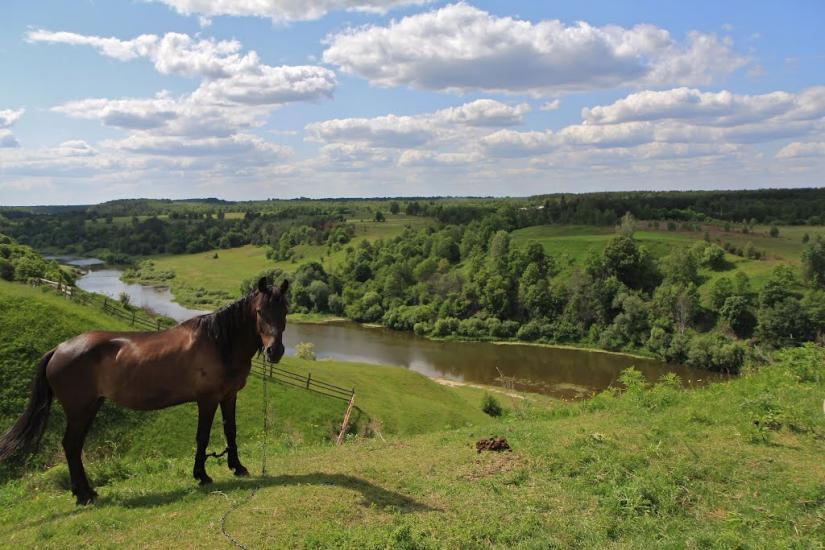 Маринин з panoramio.com - Маринин