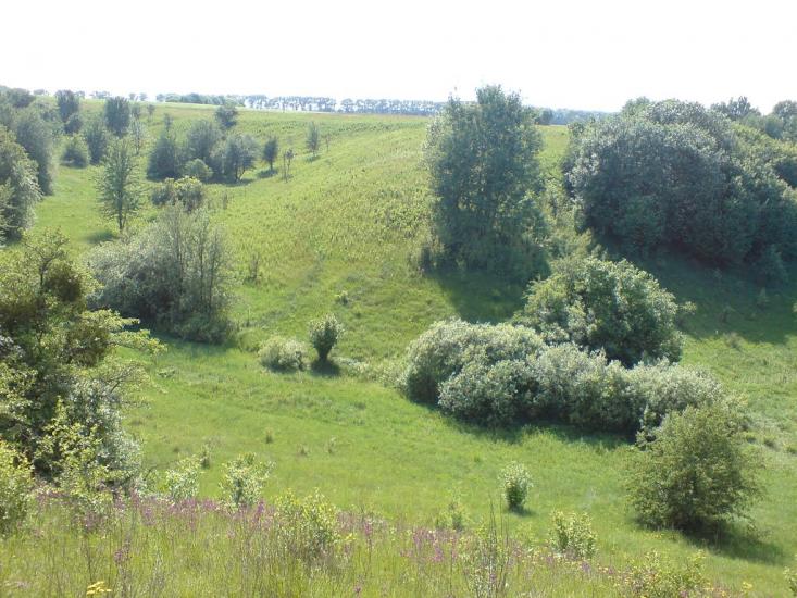 Новосілки з panoramio.com - Новосілки