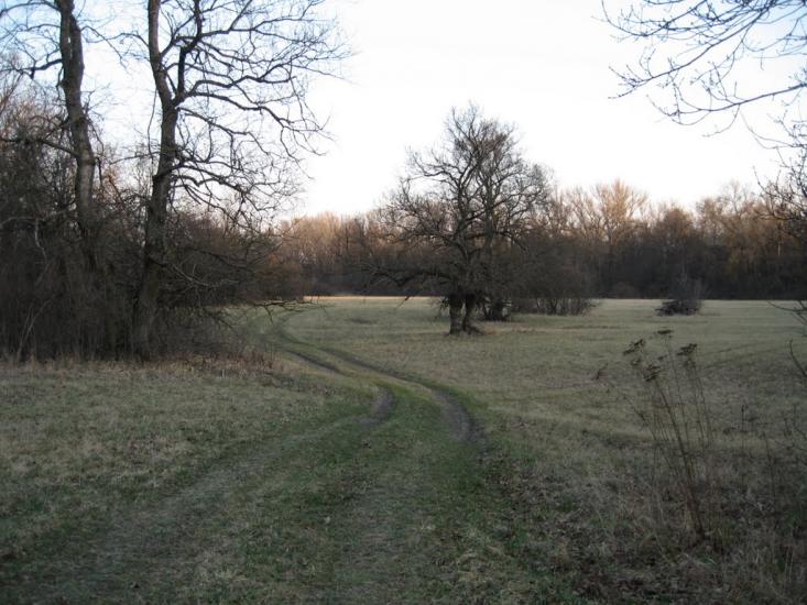Плавні з panoramio.com - Плавни