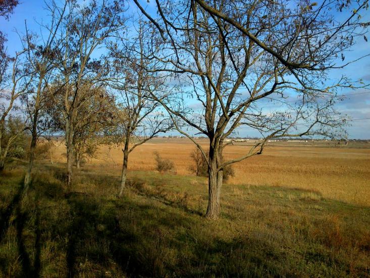 Суворове з panoramio.com - Суворово