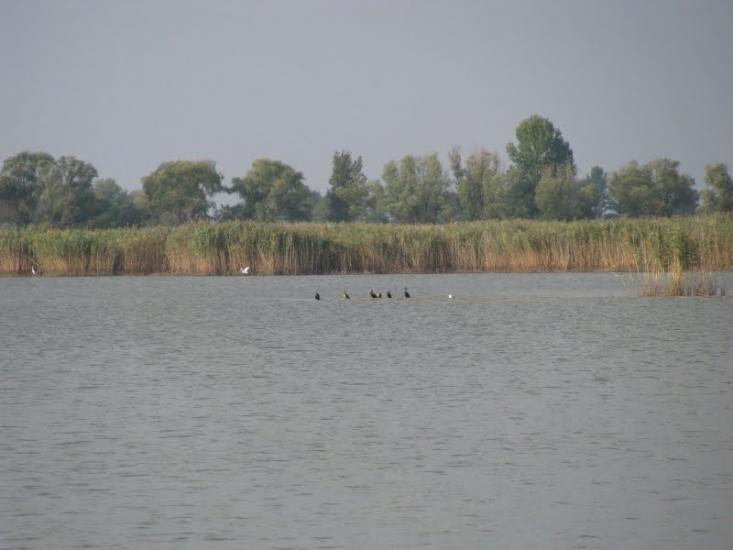 Леськи з panoramio.com - Леськи