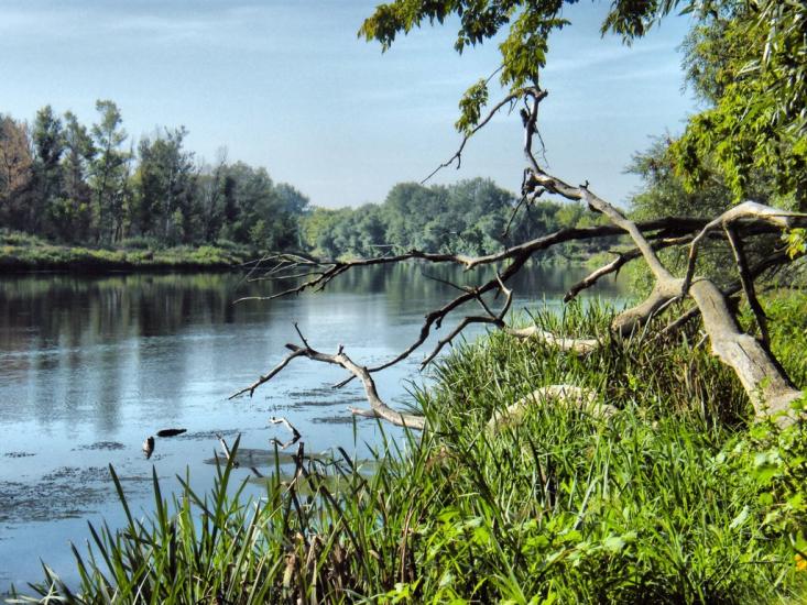 Слов'яносербськ з panoramio.com - Славяносербск