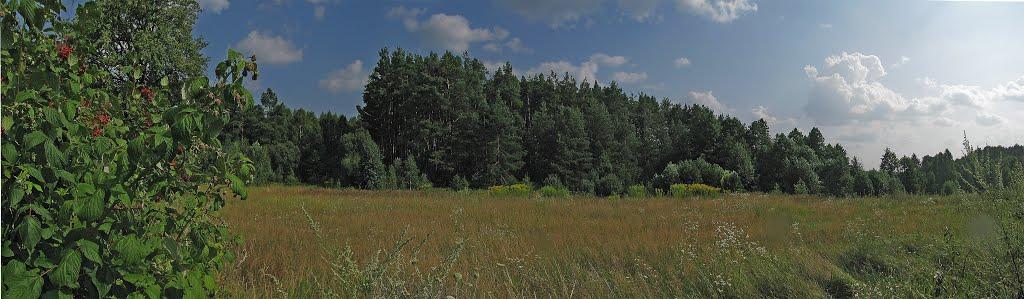 Дубовик з panoramio.com - Дубовик