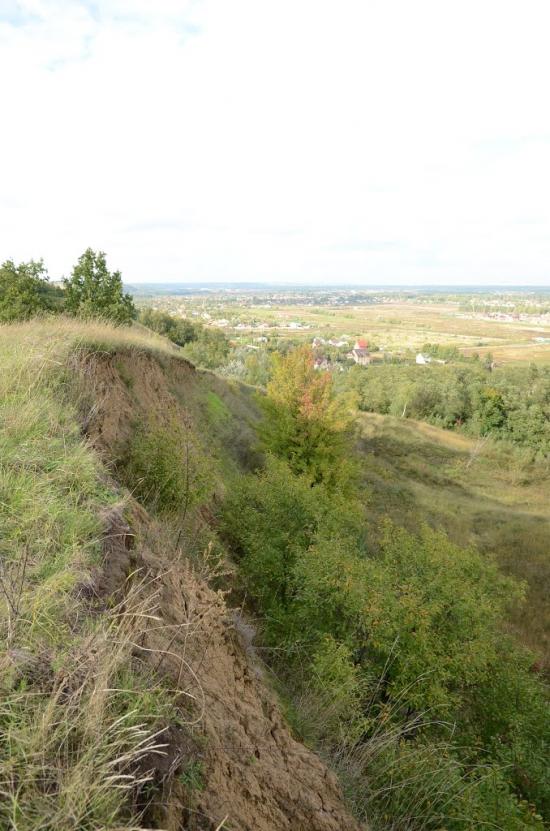 Великі Дмитровичі з panoramio.com - Великие Дмитровичи