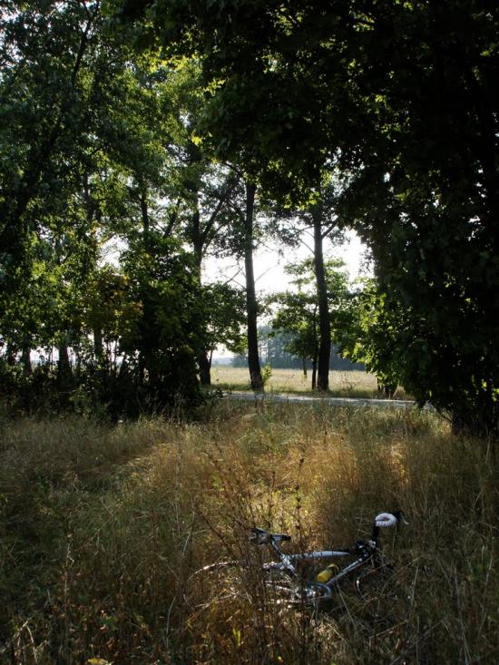 Фасова з panoramio.com - Фасова