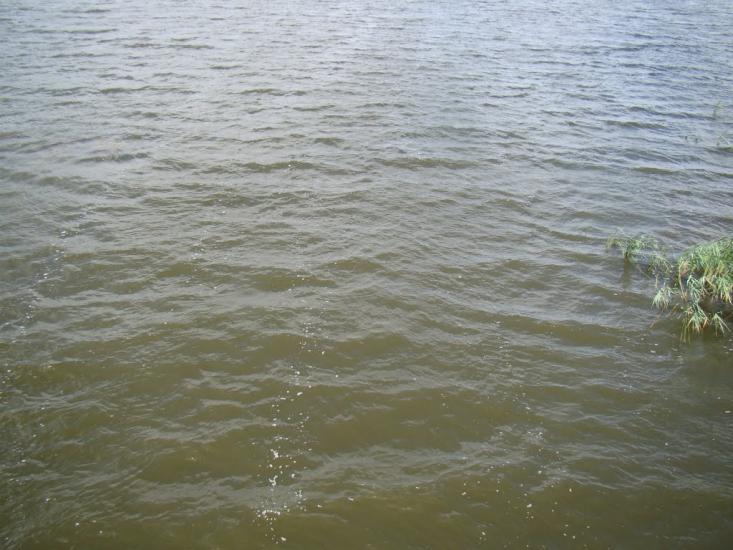 Рідний Край з panoramio.com - Рідний Край