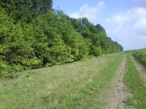 Гранів з panoramio.com - Гранів