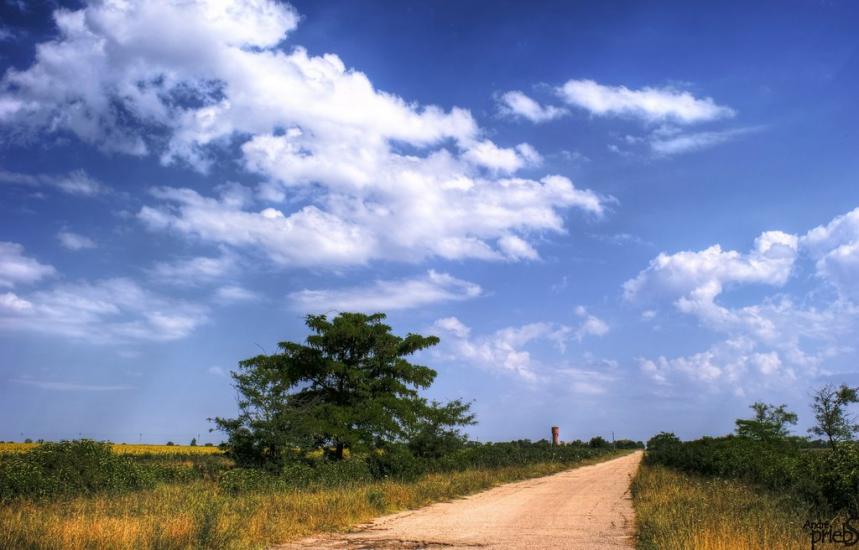 Багерове з panoramio.com - Багерове