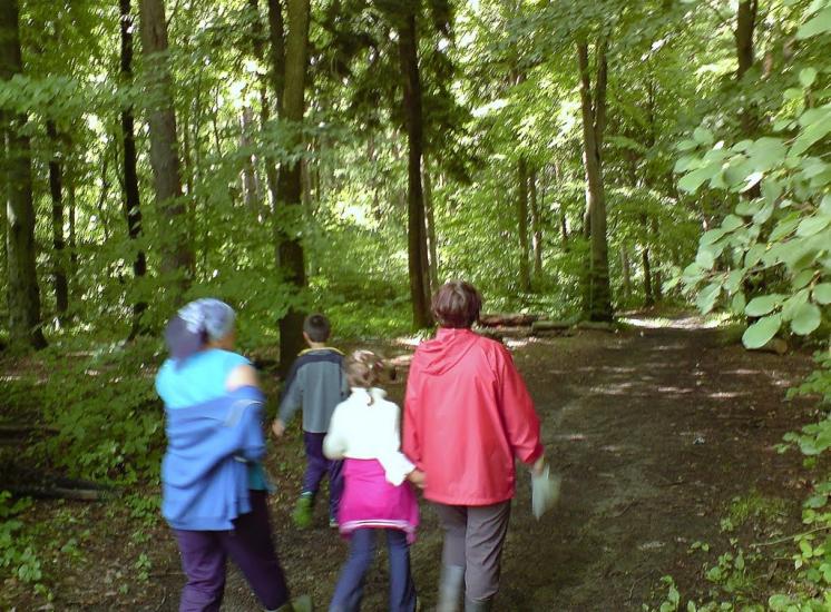 Павлівка з panoramio.com - Павлівка