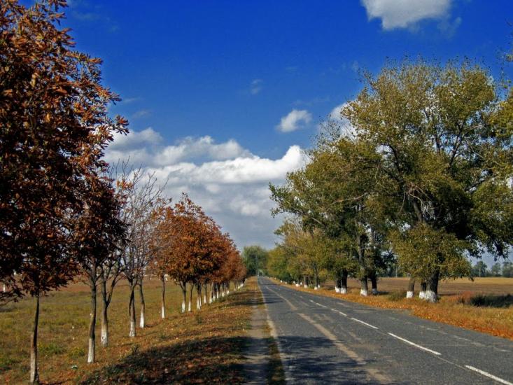 Новопілля з panoramio.com - Новополье