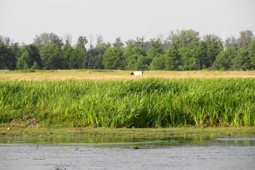 Кириківка з panoramio.com - Кириківка