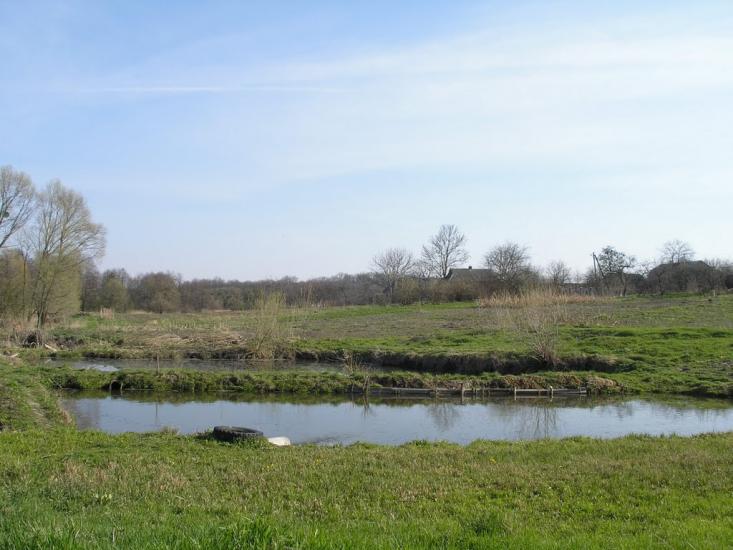 Зарванці з panoramio.com - Зарванцы