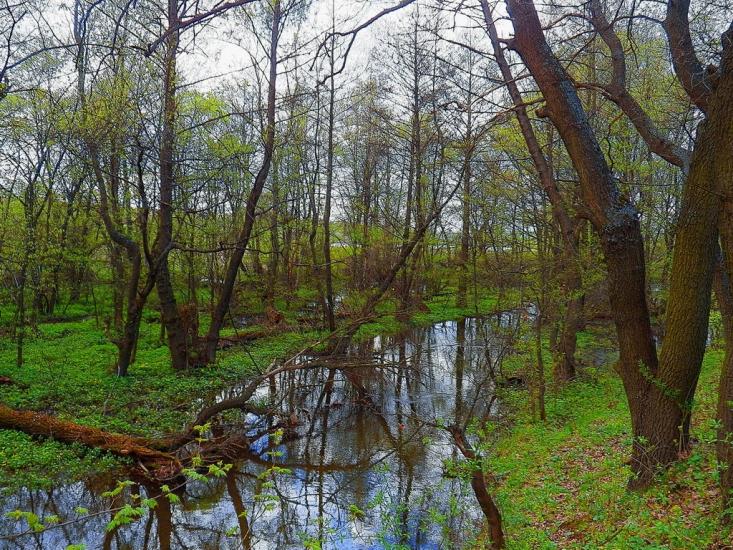 Ольховатка з panoramio.com - Olkhovatka