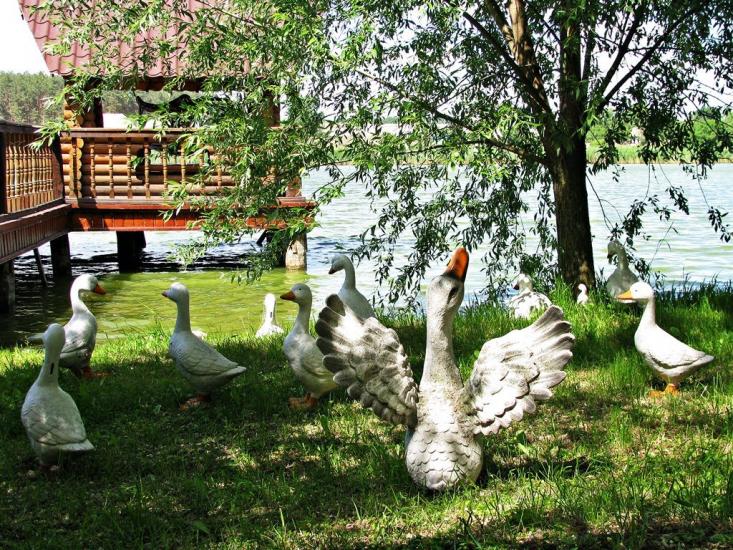 Лісові Сорочинці з panoramio.com - Lisovi Sorochyntsi