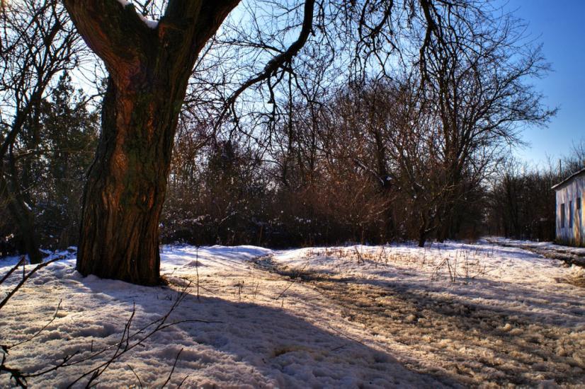 Багерове з panoramio.com - Багерове