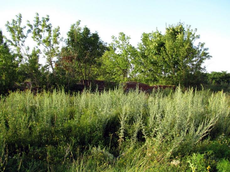 Хорошеве з panoramio.com - Хорошево