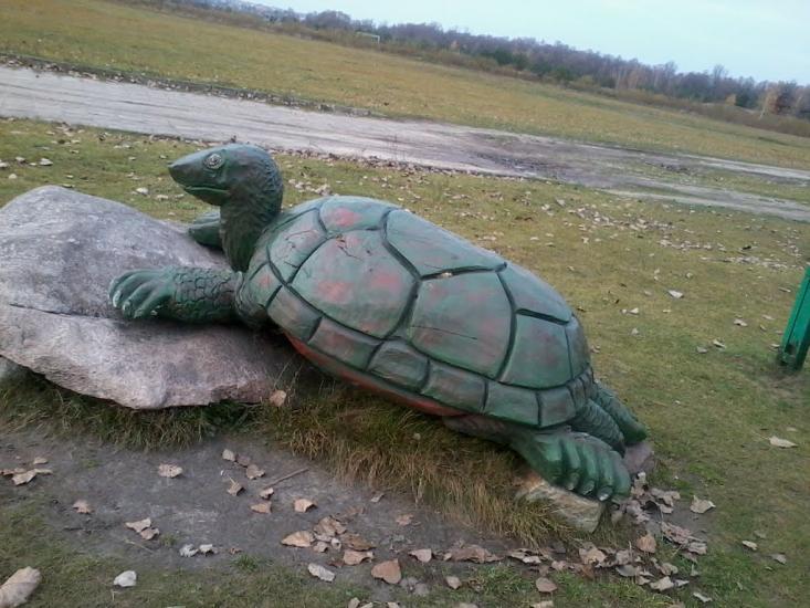 Кошари з panoramio.com - Кошари