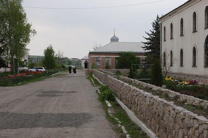 Грузько-Ломівка з panoramio.com - Gruzko-Lomivka