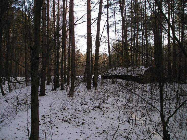 Першотравенськ з panoramio.com - Першотравенськ