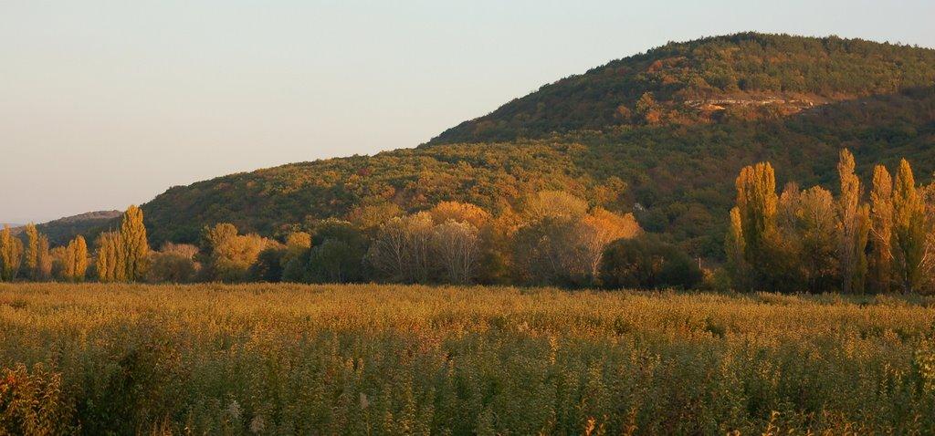 Повортне з panoramio.com - Повортное