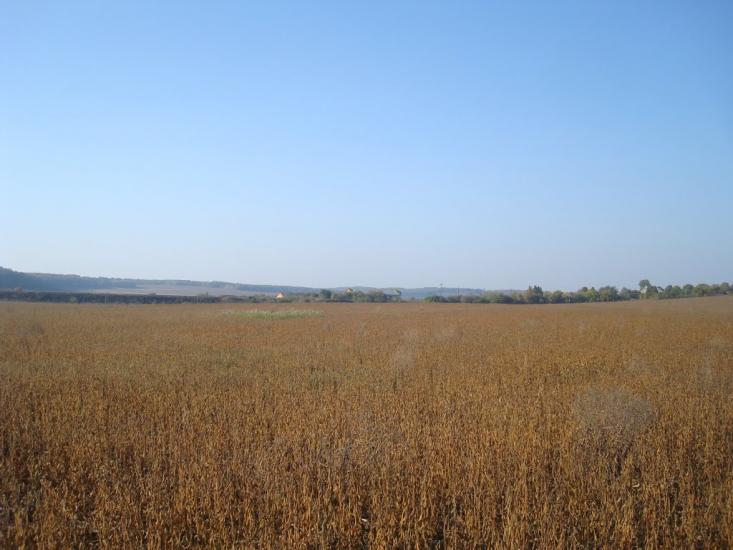 Закупне з panoramio.com - Закупное
