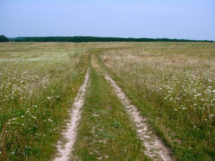 Брусилів з panoramio.com - Брусилов