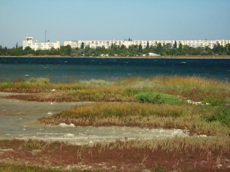 Новоозерне з panoramio.com - Новоозерное