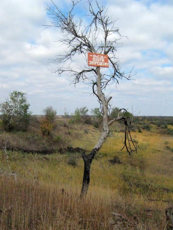 Старозаводське з panoramio.com - Старозаводское