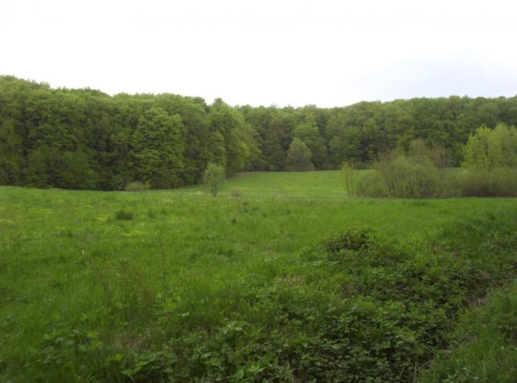 Добринівці з panoramio.com - Добринівці